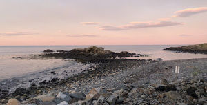 Meet your Posher, Casey